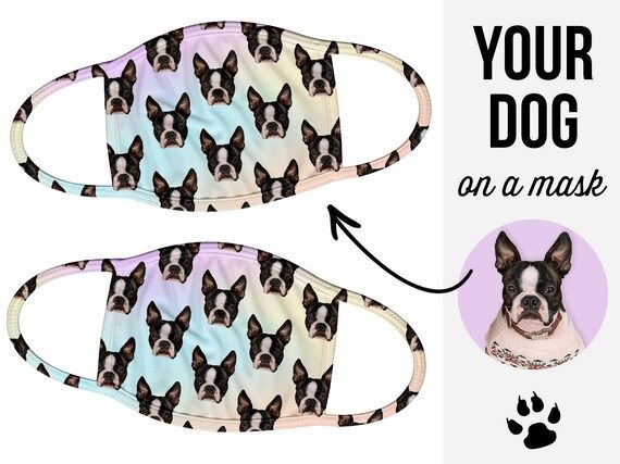 Your Dog On a Face Mask, Your Dog's Photo, Custom Face Mask, Face Mask, Cloth Face Covering, Ligh... | Etsy (US)