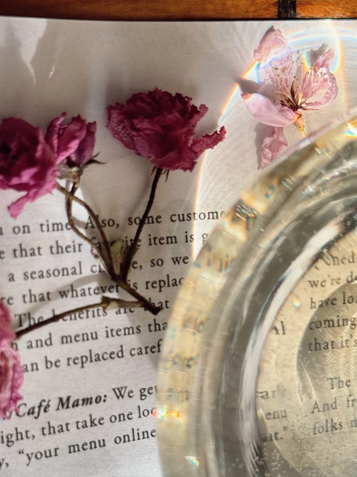 Dried Florals x Anthropologie

Want to make dried flowers from home? Anthropologie has a wooden press kit to make your favorite floral arrangements last EvEn longer!







#anthropologie #driedflowers #flowerarrangements #florals #trending

#LTKHome