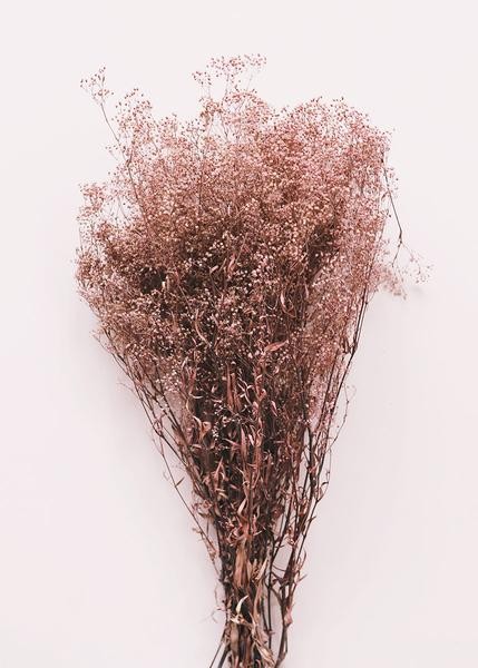 Preserved Stardust Gypsophila in Mauve Brown - 4 oz Bundle | Afloral (US)