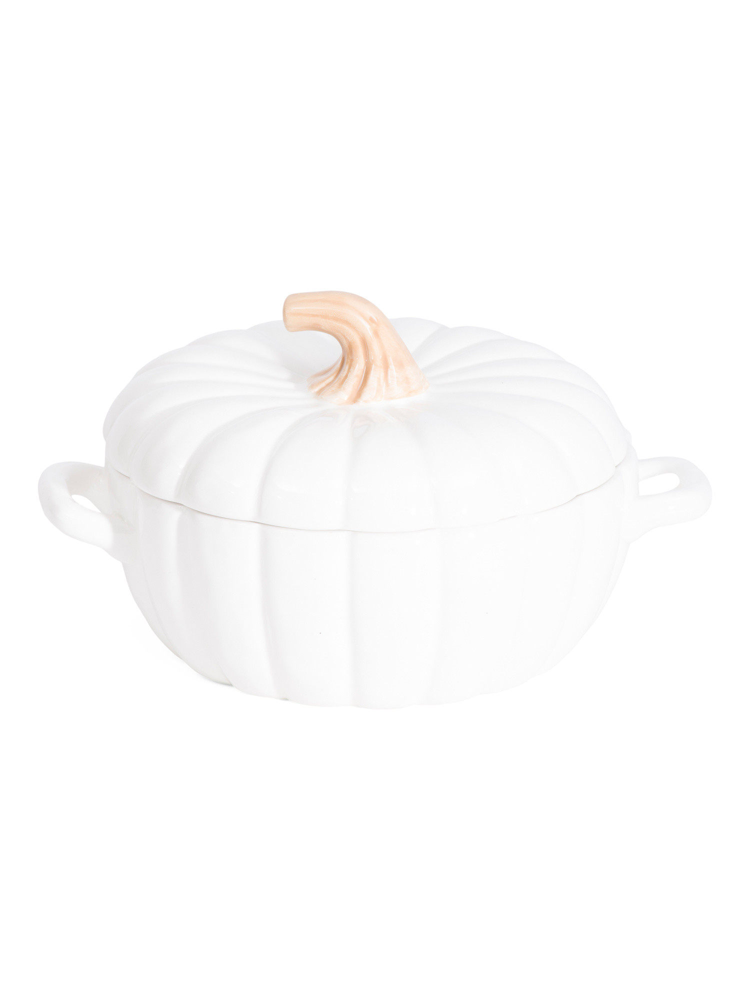 Pumpkin Crock Pot | TJ Maxx