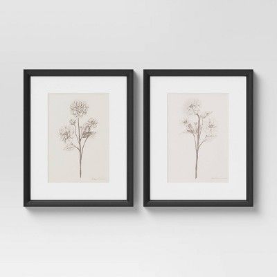 (Set of 2) 16" x 20" Framed Floral Sketch Framed Wall Art White - Threshold™ | Target