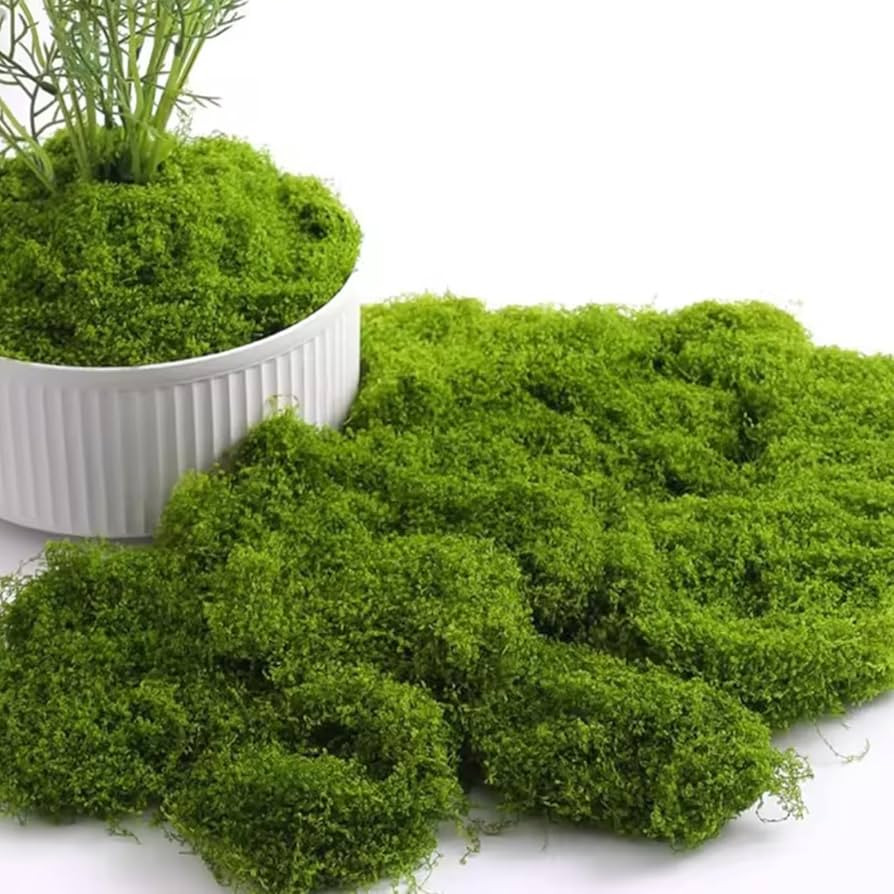 100g Artificial Moss – Fake Moss For Crafts, Fairy Gardens, Terrariums, Christmas, Easter, Tabl... | Amazon (UK)