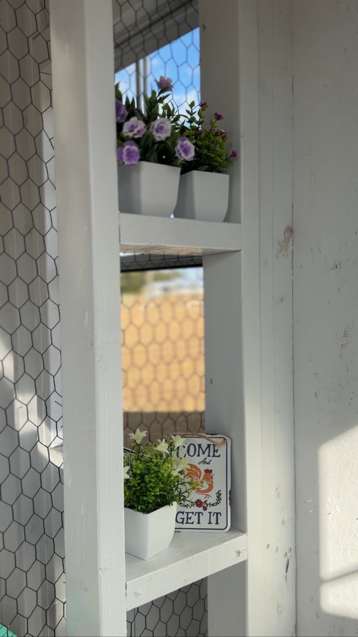 Cute fake plants for my chicken coop decor 

#LTKSeasonal #LTKmorningroutine #LTKGiftGuide