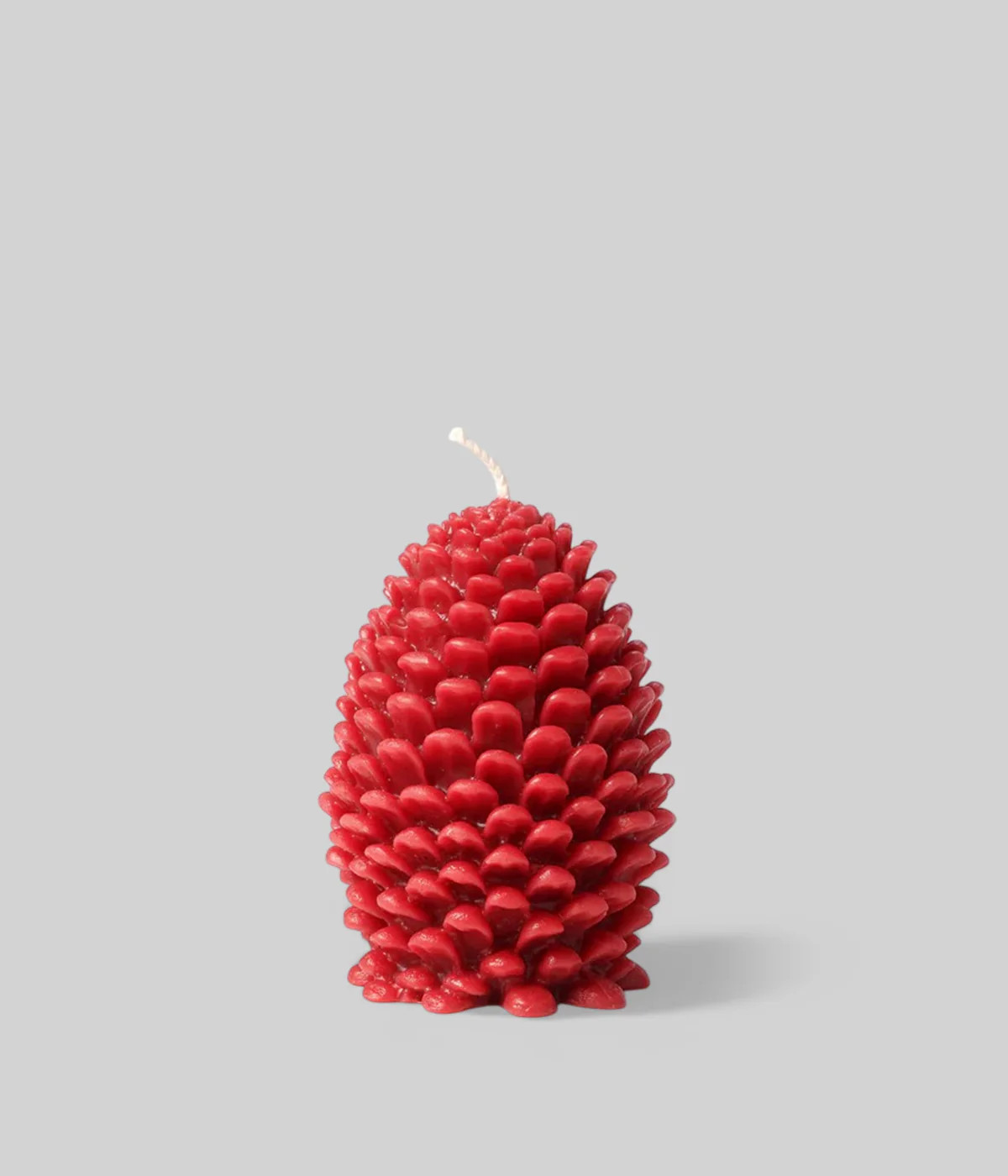 Beeswax Jumbo Cone Candle | Natural Pine Cone Candle – Bloomist | Bloomist, Inc