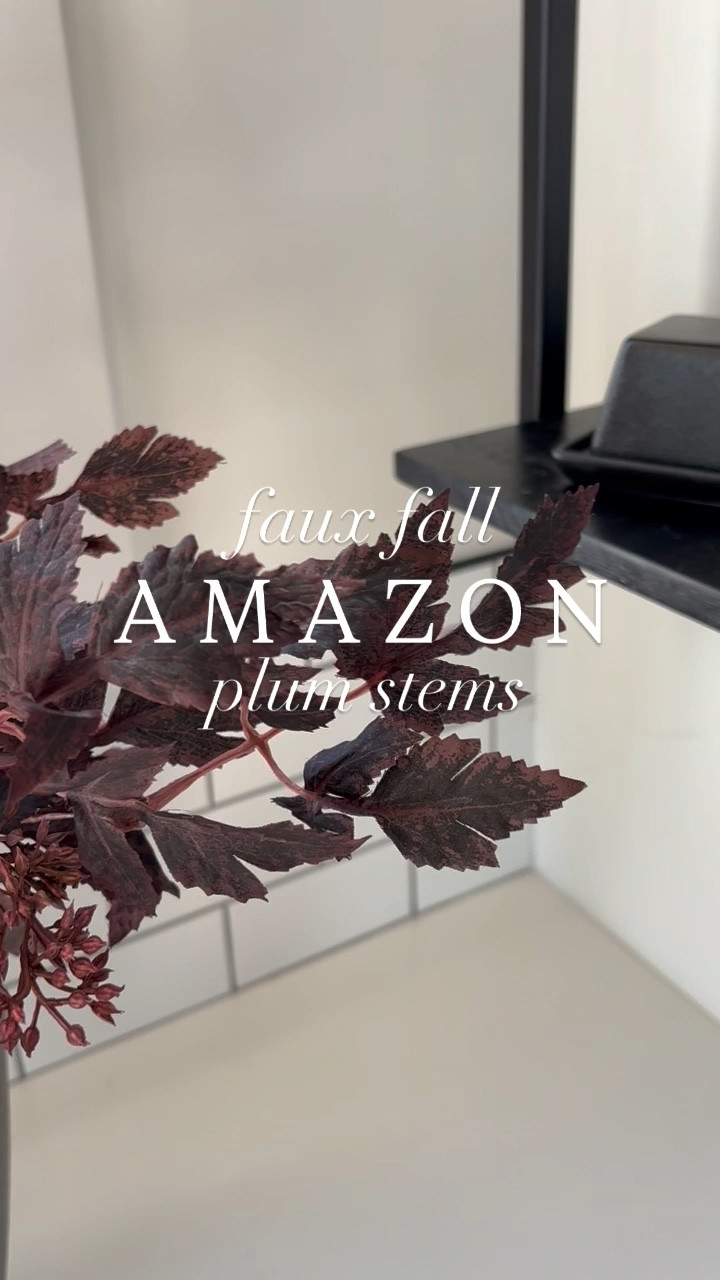 H O M E / this is the set of 3 24” faux fall plum stems from Amazon Canada 🍂

Fall Home Decor | Kitchen | Open Shelves | Linen French Stripe Tea Towels | Matte Black Cast Iron Butter Dish | 

#LTKcasa #LTKcanada #LTKsale