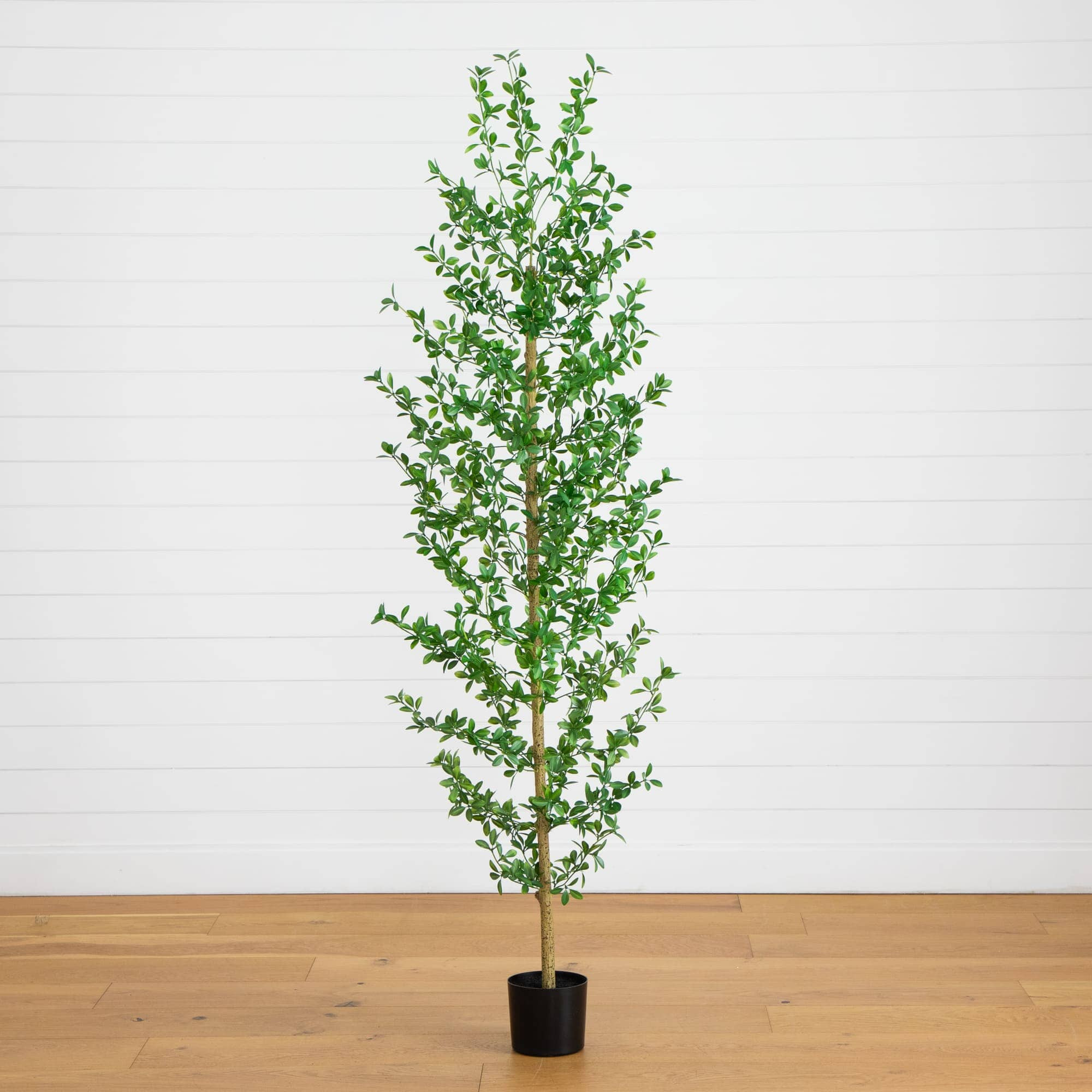 6' Artificial Shady Lady Black Olive Tree | Nearly Natural