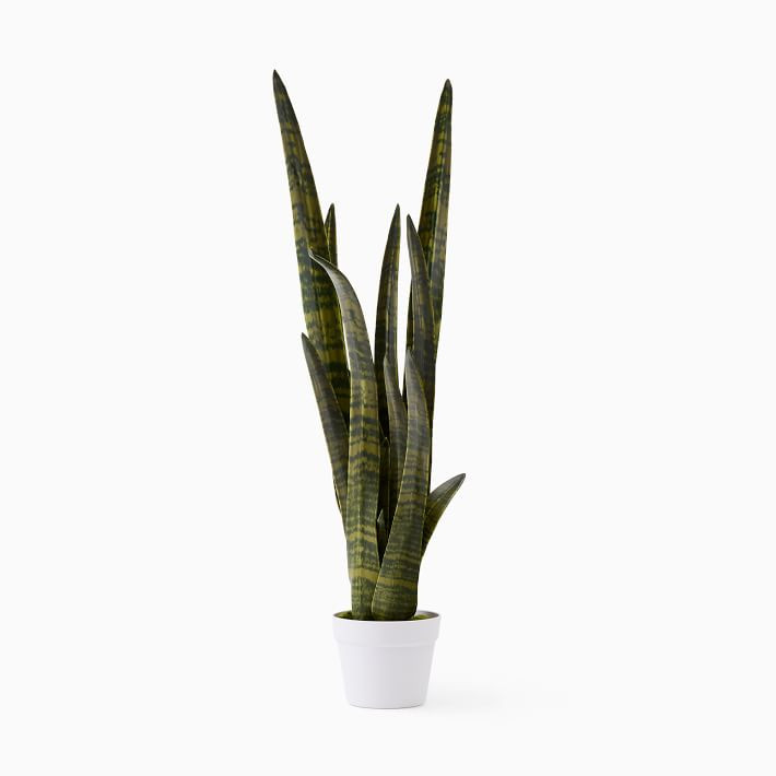 Faux Potted Snake Plant | West Elm (US)