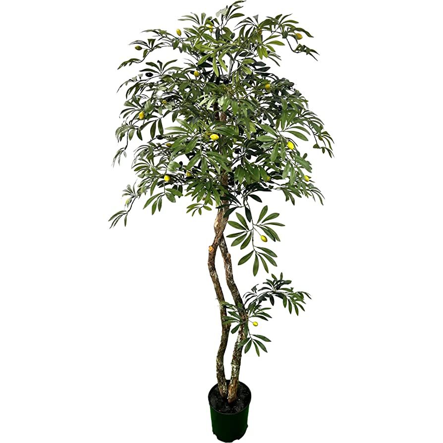 Hand Crafted 6' Artificial Olive Tree with Locally Sourced Real Wood Trunks, Cypress & Alabaster | Amazon (US)