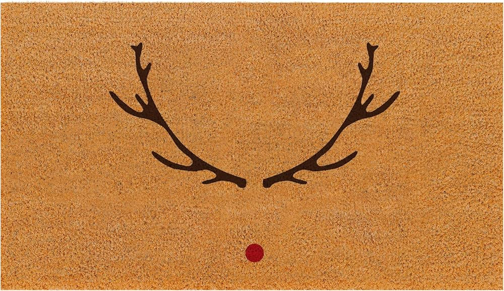 THEODORE MAGNUS Natural Coir Doormat with Non-Slip Backing - 17 x 30 - Outdoor/Indoor - Christmas... | Amazon (US)