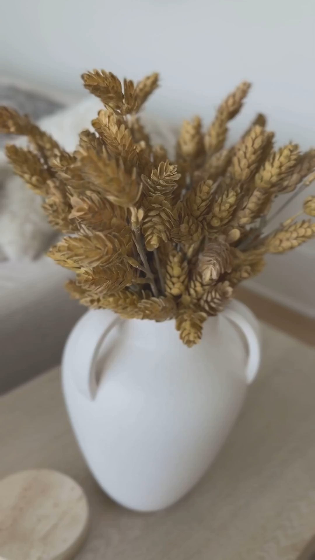 Fall stems


#LTKStyleTip #LTKSeasonal #LTKHome