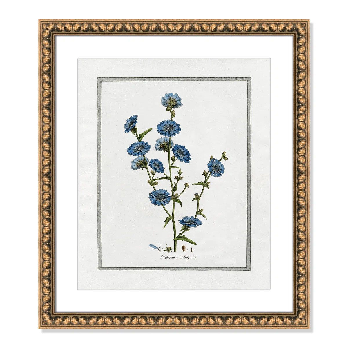 Colombe Soft Botanical I - Framed Art Full Bleed | Wayfair North America