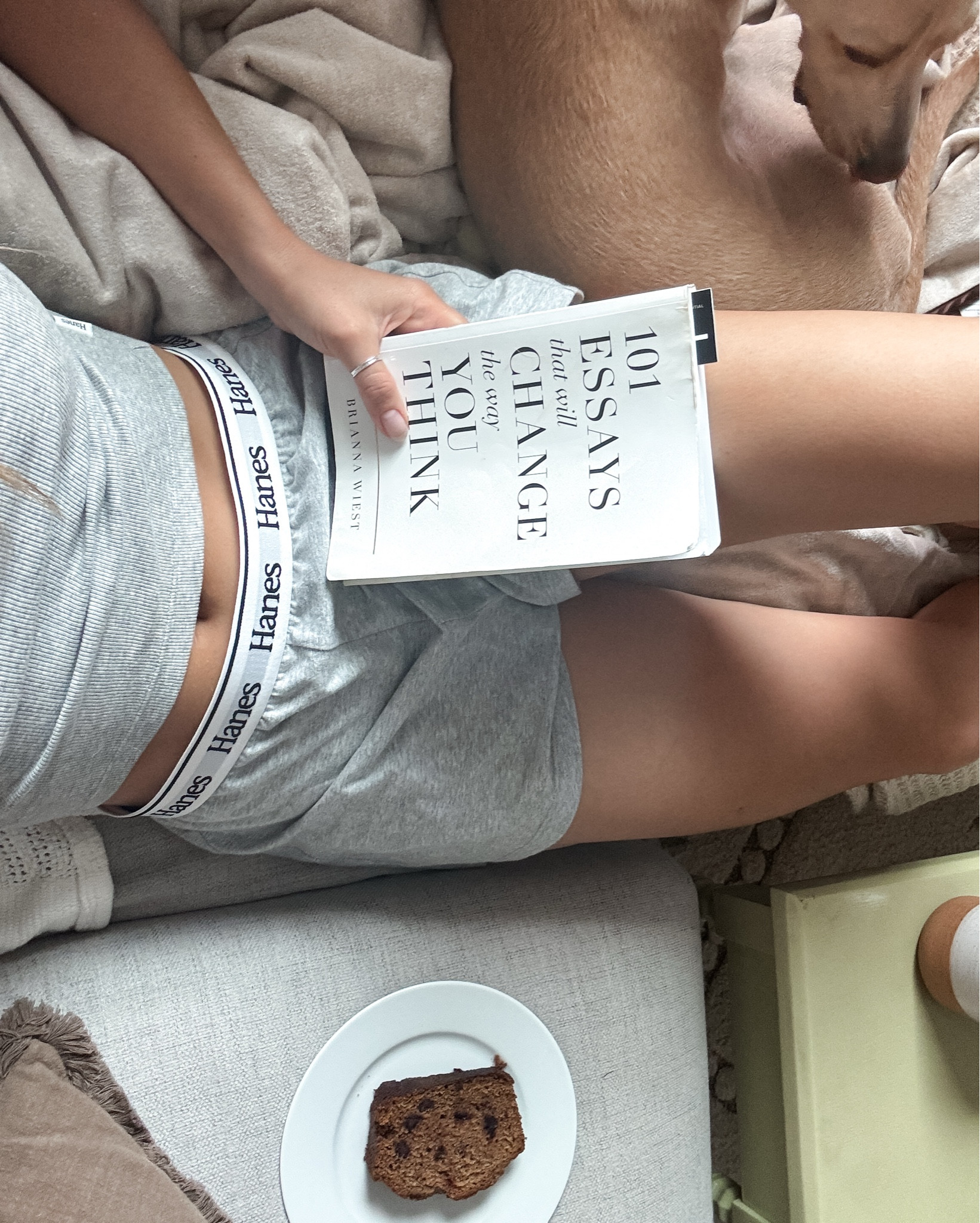 A Hanes comeback 

#LTKStyleTip #LTKFindsUnder50 #LTKU