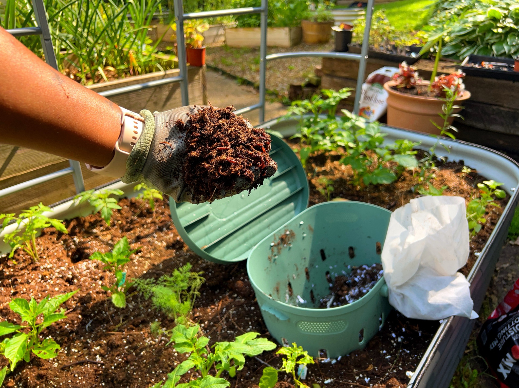 Make your own worm castings for your houseplants and garden! Vegos worm composter is the best there is!

#LTKHome #LTKFamily #LTKGiftGuide