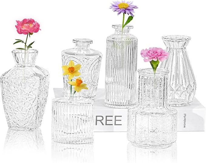 6Pcs Glass Bud Vase Set,Small Flower Vase for Tables Centerpieces Decor, Mini Vintage Clear Vase ... | Amazon (US)