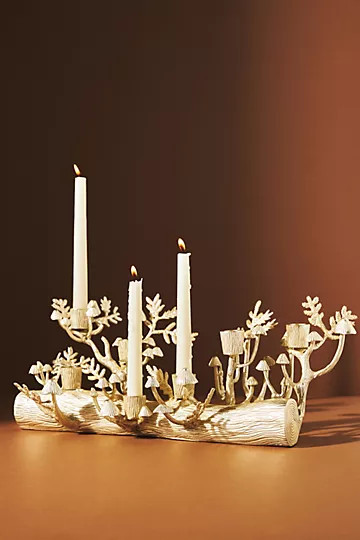 Arden Taper Candle Holder | Anthropologie (US)