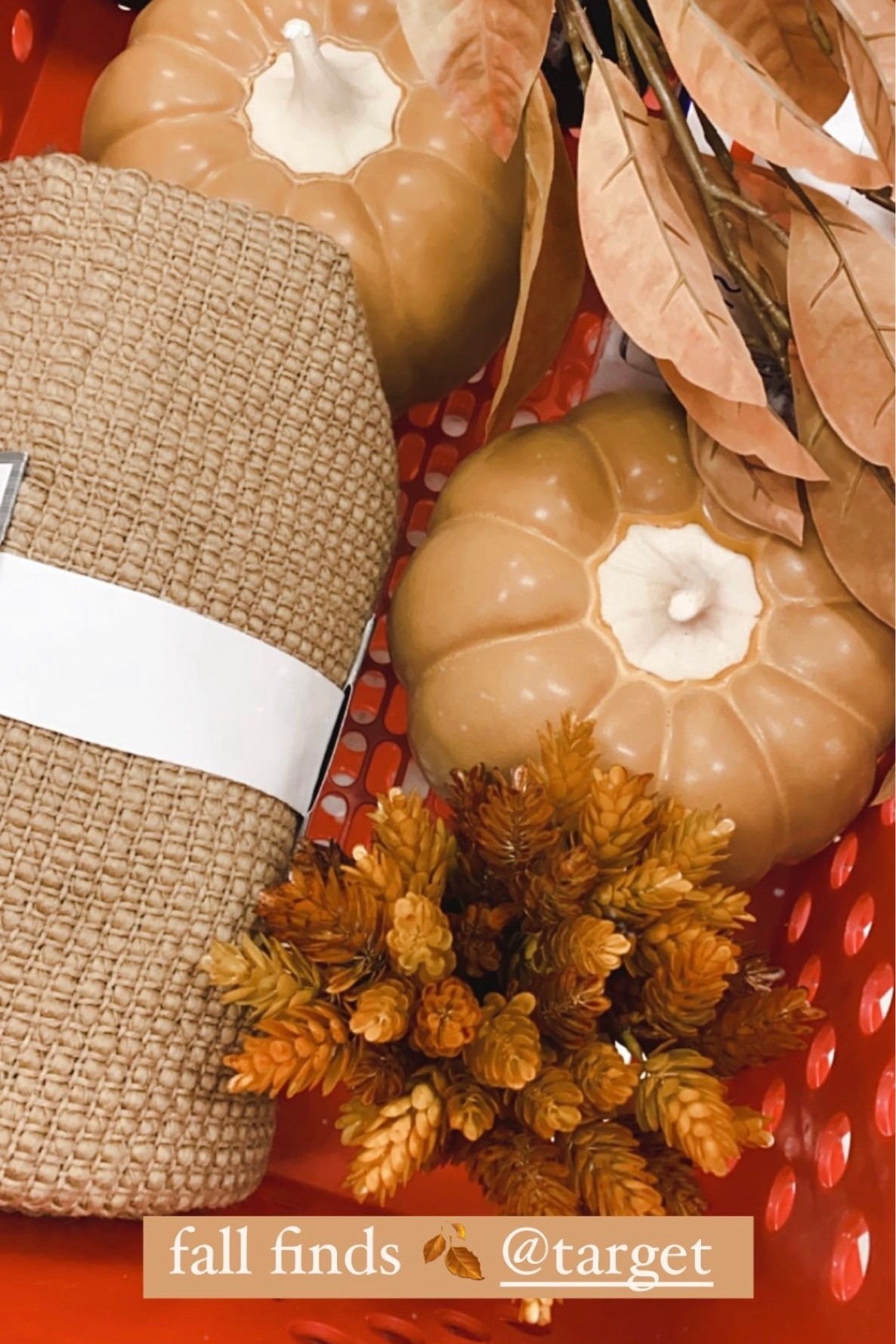 Fall finds at target | fall decor 

#LTKhome #LTKSeasonal