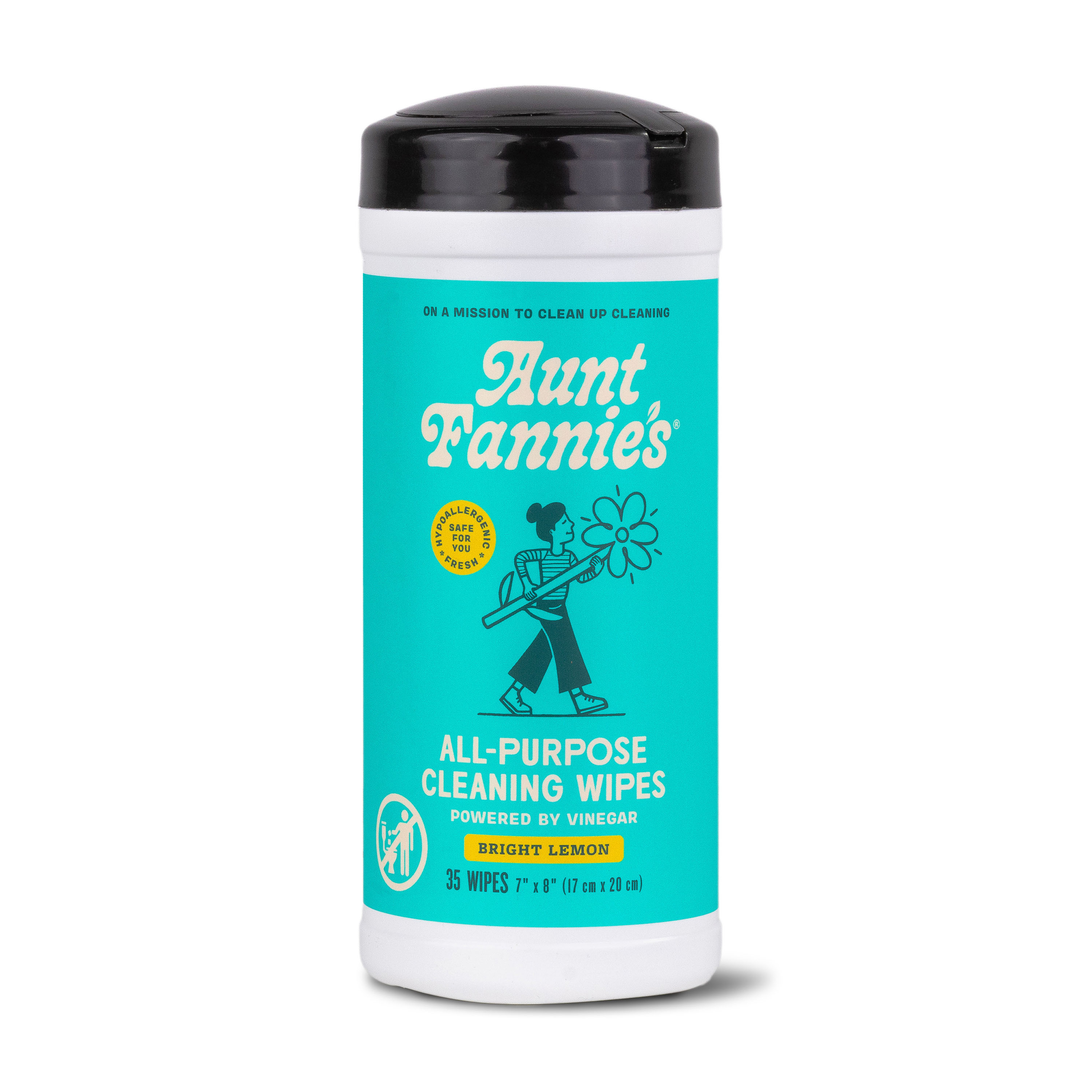 Aunt Fannie's Cleaning Vinegar Wipes | Grove