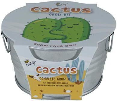 BUZZY Kids Mini Basin Seed Grow Kit | Cactus | Kids Collection | Best Gardening Gifts, Favors, We... | Amazon (US)