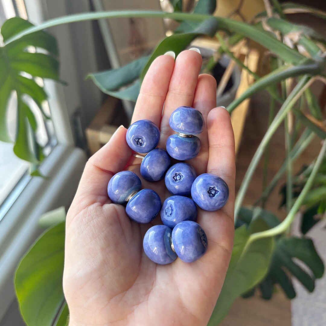 Blueberry Fridge Magnet – Handmade Ceramic Magnet – Cute Stoneware Kitchen Decor – Fruit Lo... | Etsy (US)