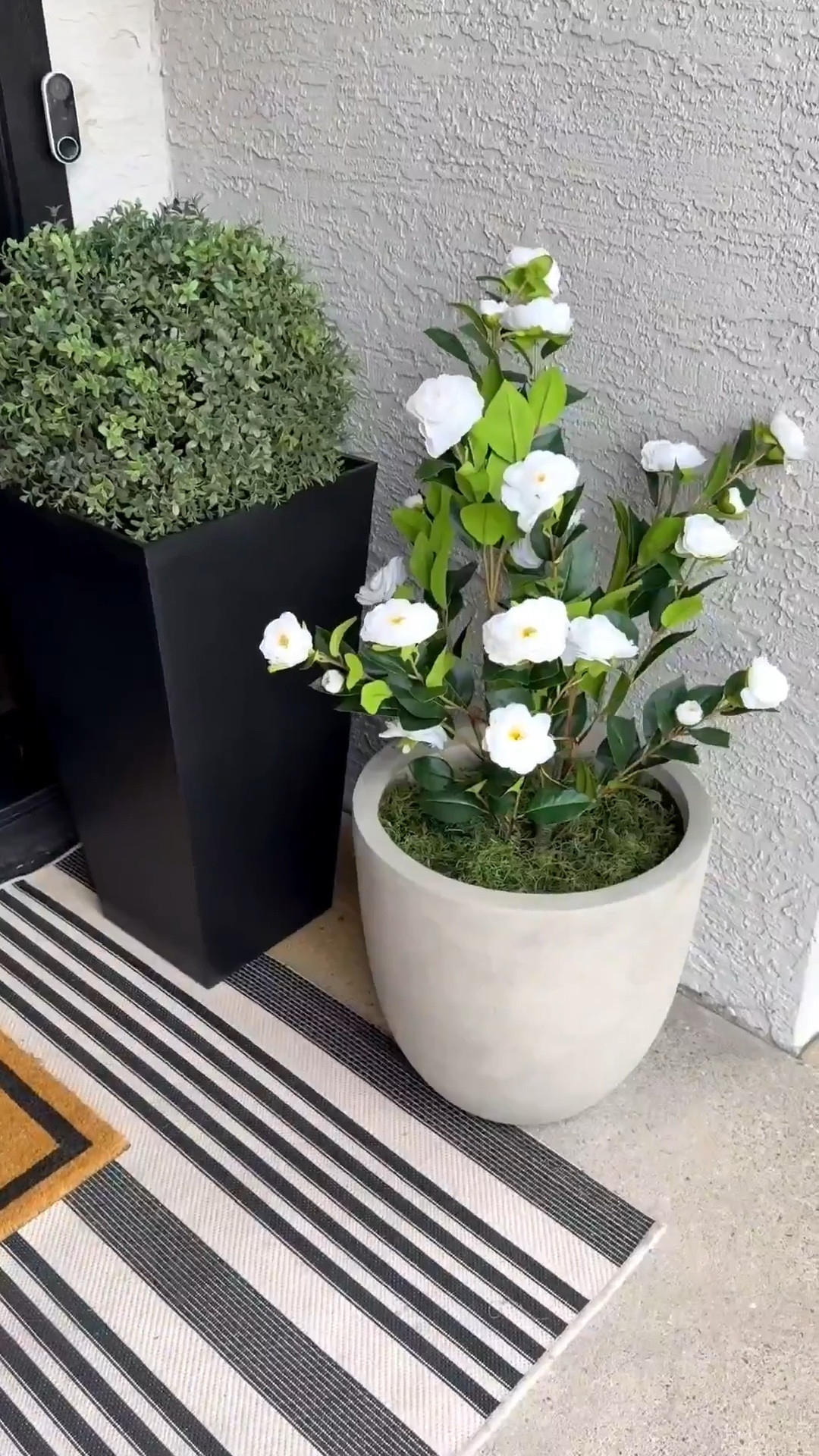 These two pack of faux floral camellia trees easily elevate your front porch or back patio. Fun and whimsical and never have to water 
Front patio design 
#LTKStyleTip

#LTKHome #LTKSeasonal #LTKmomlife
