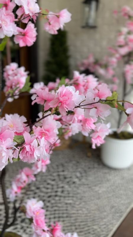 These cherry blossom trees from @nearlynatural are absolute show stoppers! Grab yours for 30% off today with NEW24

#LTKSeasonal #LTKSpringSale #LTKhome