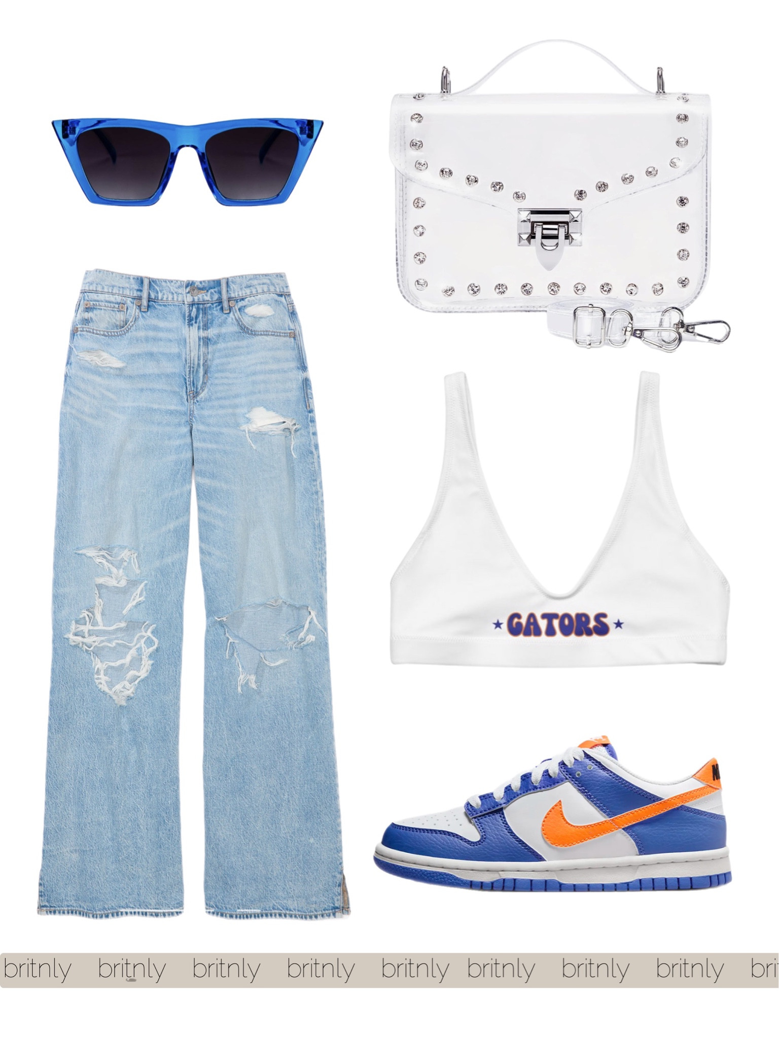 Florida gators | nike dunks | orange and blue | clear purse | college game day | football season 🐊

#LTKSeasonal #LTKshoecrush #LTKtravel