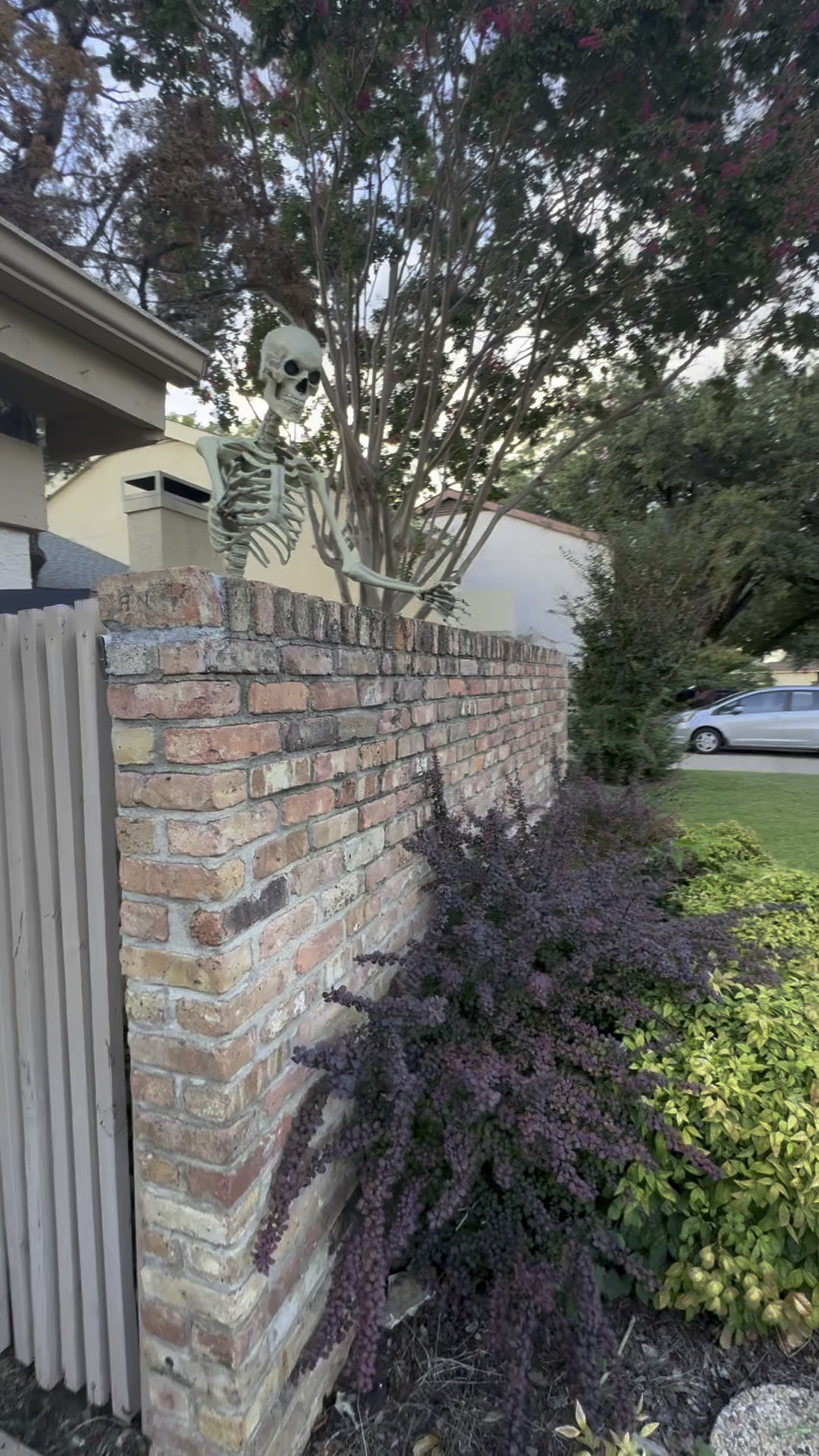 Meet Edward Skeleton Ill, my new friend that resides in my graveyard (courtyard).
Putting up Halloween decor is the best way to spend like $500 in a weekend. #happyhalloween
#homedepotskeleton #gothityourself #giy #bellushall #doityourself