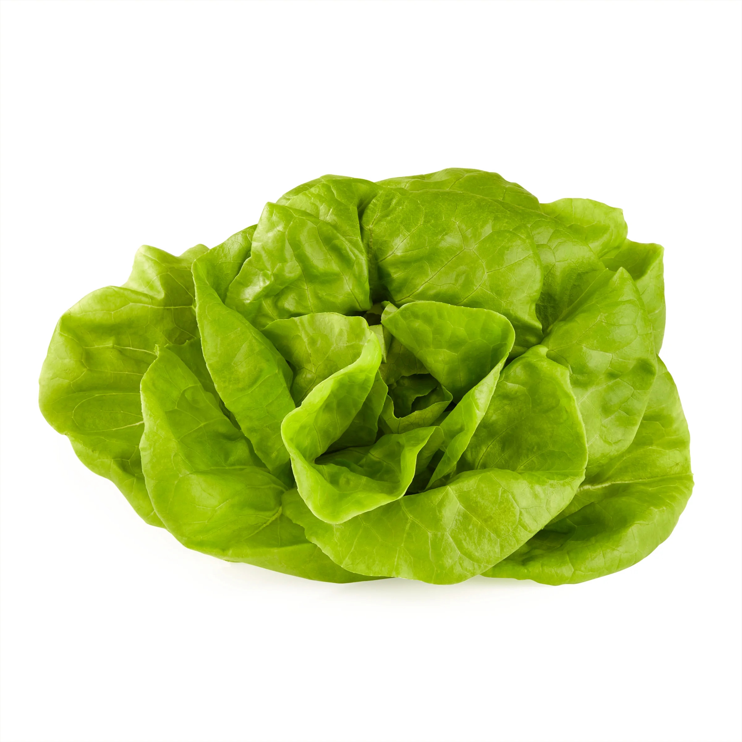 Fresh Butter Lettuce, Each | Walmart (US)