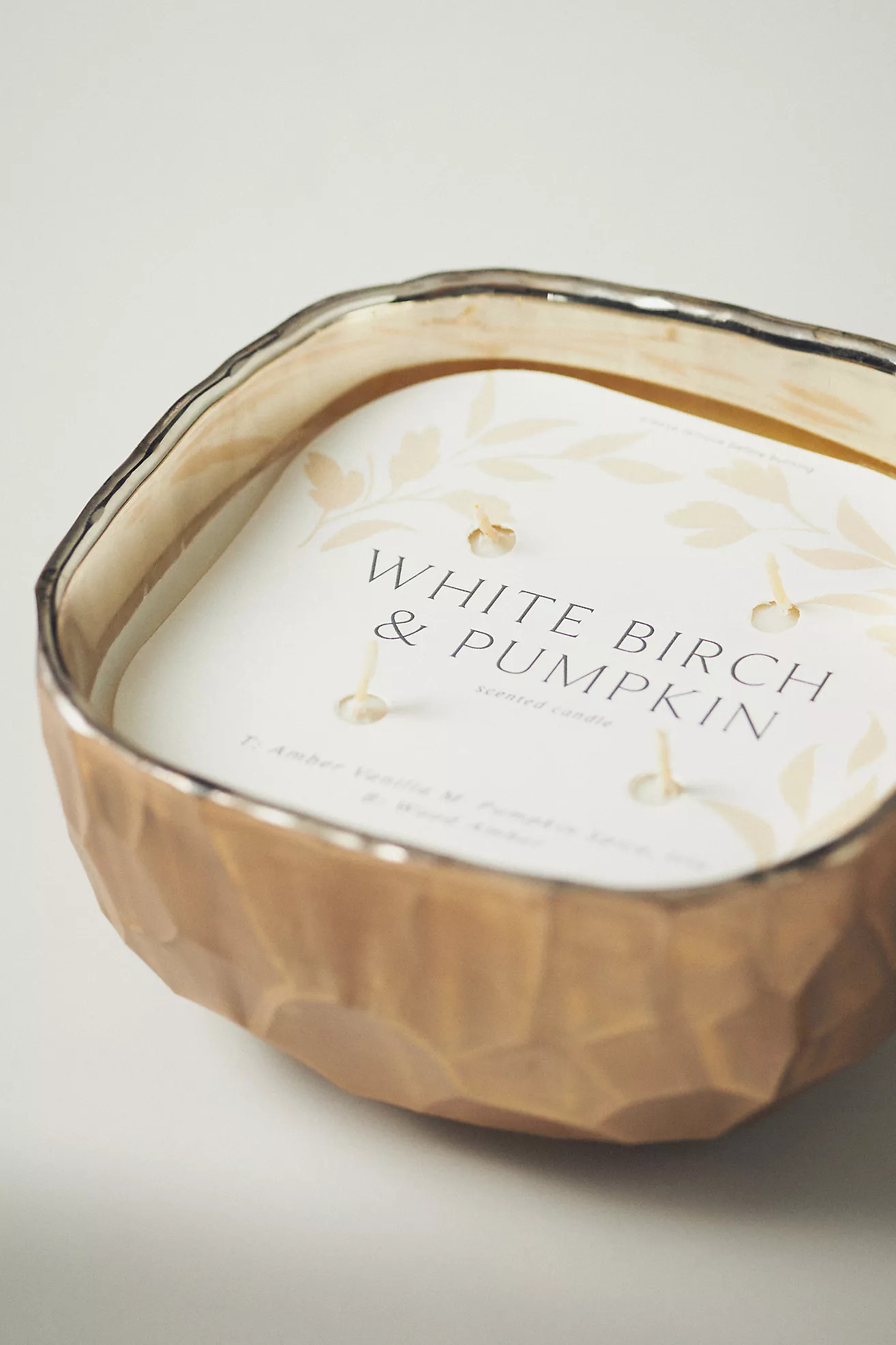 Pebble White Birch & Pumpkin Glass Candle | Anthropologie (US)