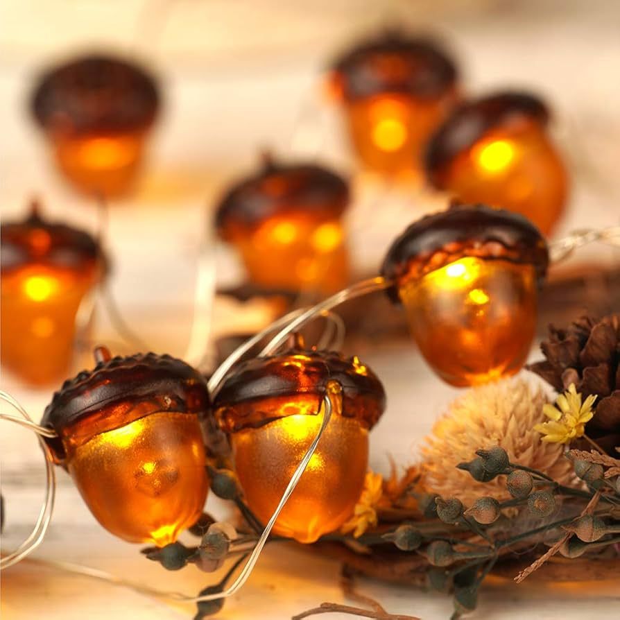 KAiSnova 3D Acorn Fall Decor Harvest String Lights Battery Powered with Remote and Timer 10ft 30 ... | Amazon (US)