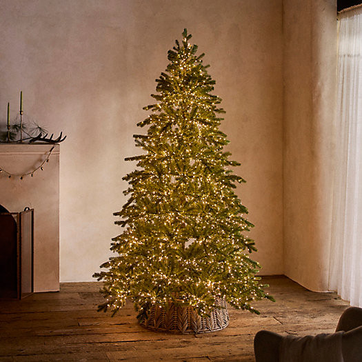 Faux Super-Lit Spruce | Terrain