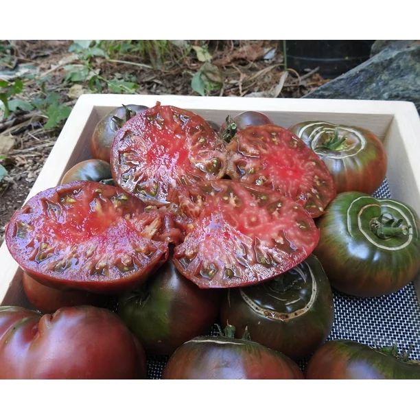 Black Krim Tomato Plant - 2.5" Pot - Delicate Skin/Full Flavor - Heirloom - Walmart.com | Walmart (US)