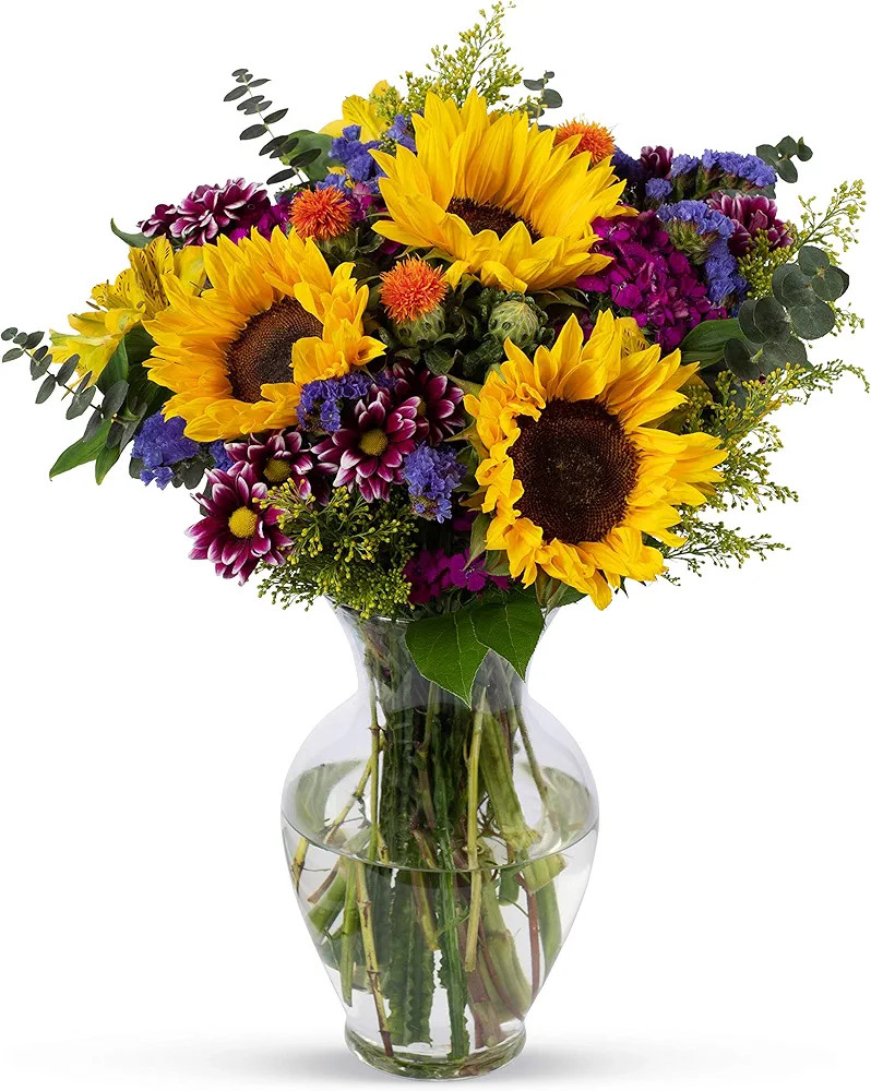 Benchmark Bouquets Flowering Fields, Glass Vase Included, Gift Fresh Flowers for Valentine’s Da... | Amazon (US)