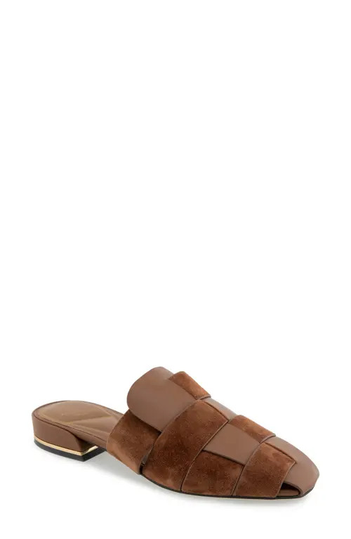 Kenneth Cole Faina Mule in Brown Leather at Nordstrom, Size 6.5 | Nordstrom
