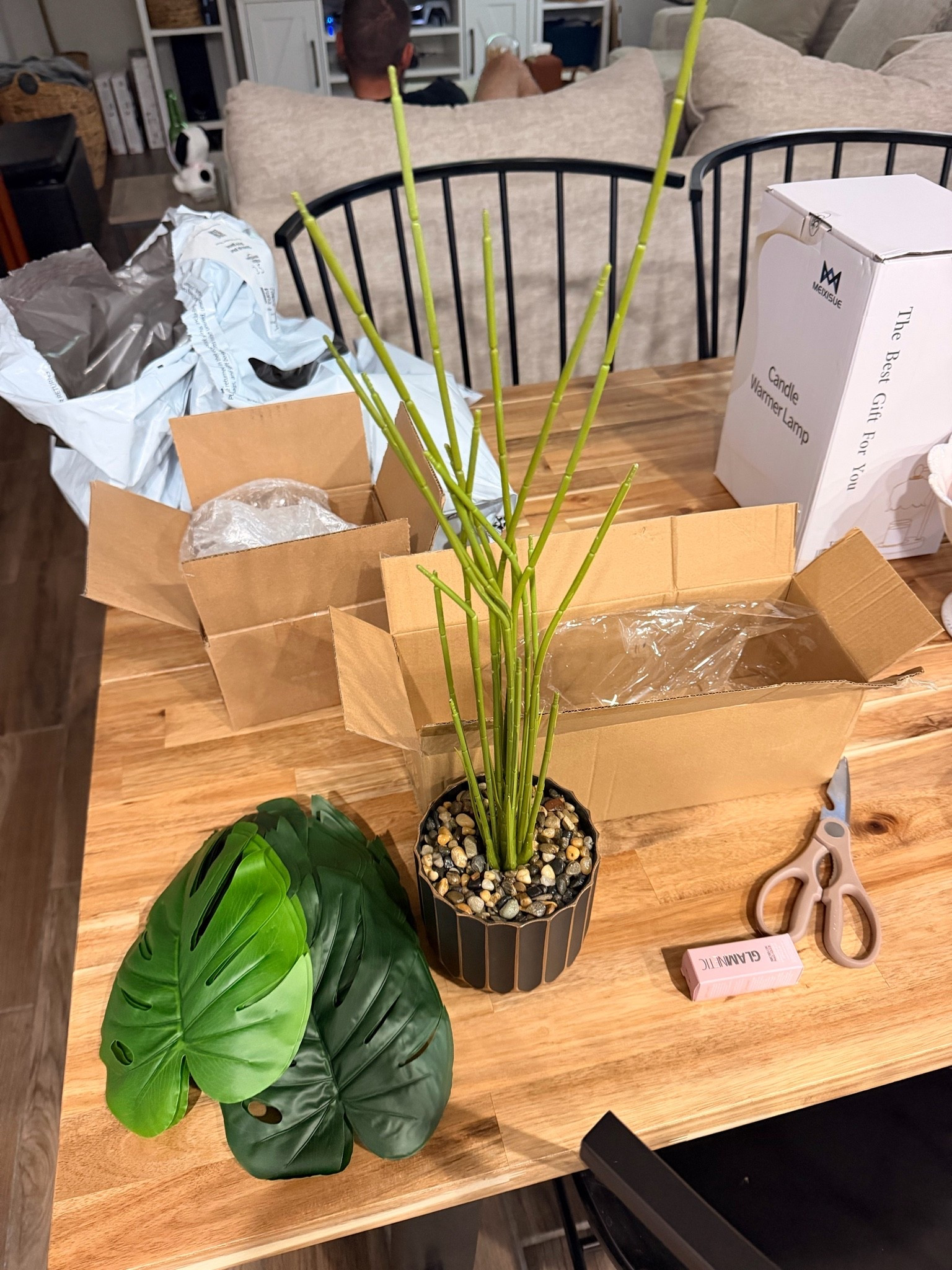 Office plant to be assembled 🌱🪴

#LTKHome #LTKSeasonal