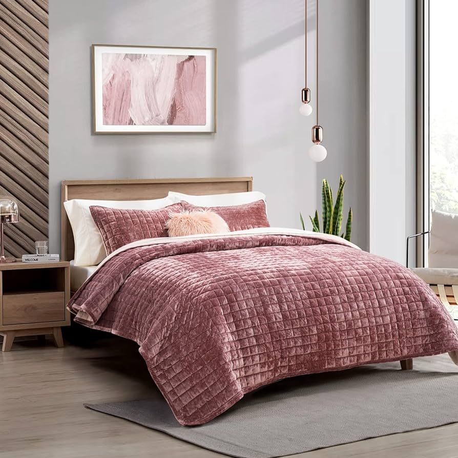 RECYCO Luxury Velvet Quilt Set Twin/Twin XL Size, Lightweight Velvet Comforter Set, Oversized Bed... | Amazon (US)