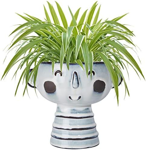 Fivepot 7 Inch Face Flower Pot Head Succulent Planter Creative Ceramic Garden Pot for Cactus Herbs P | Amazon (US)