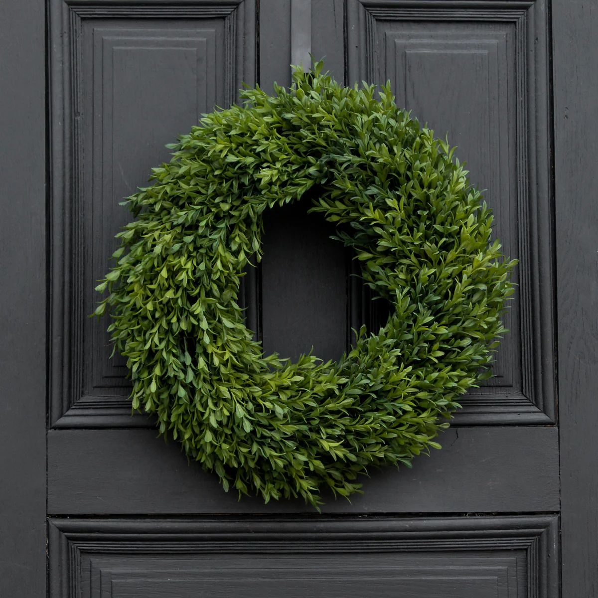 Realistic Boxwood Everyday All Seasons Spring Summer Outdoor Wreath - 2 Sizes | Darby Creek Trading