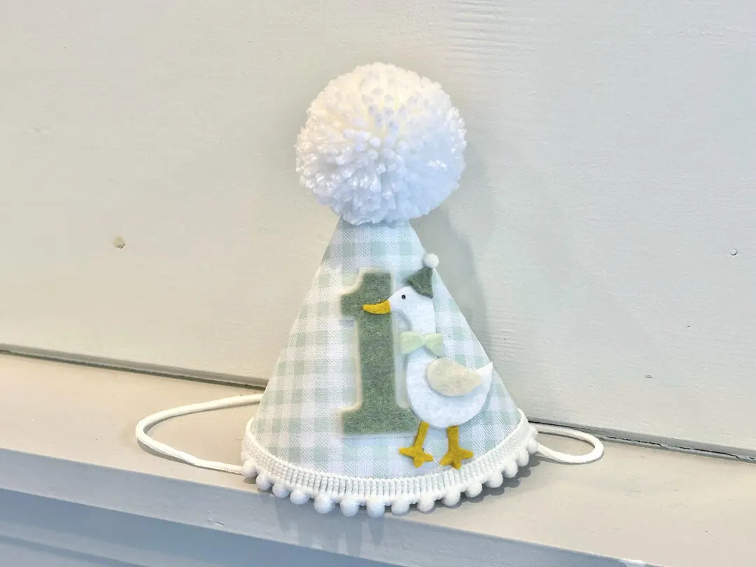 One Silly Goose Birthday Hat - Green Gingham Party Hat - Silly Goose First 1st Birthday Hat - Goo... | Etsy (US)