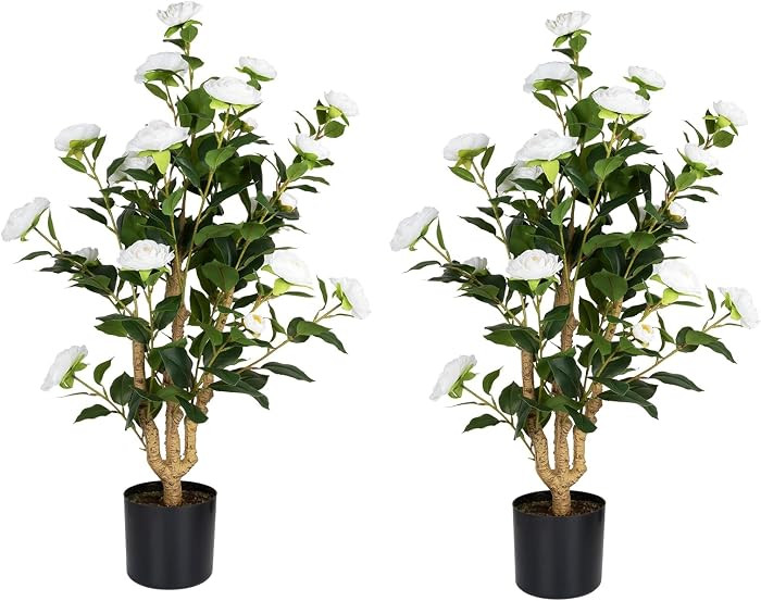 MARCH WIND 3FT White Artificial Camellia Plants 2 Pack with Pots, Faux Flowering Tree for Indoor ... | Amazon (CA)