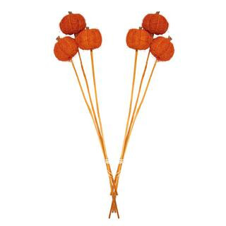 Orange Pumpkins On A Stem - Dried Natural (2-Pack) | The Home Depot