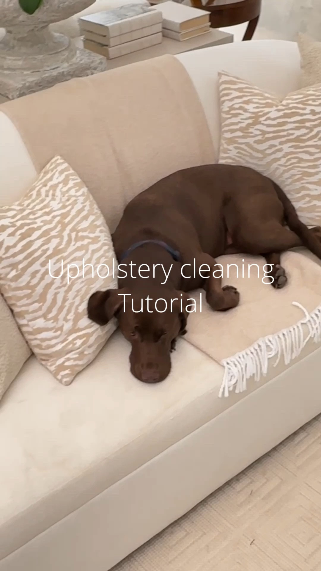 Upholstery cleaning 

#LTKStyleTip #LTKHome