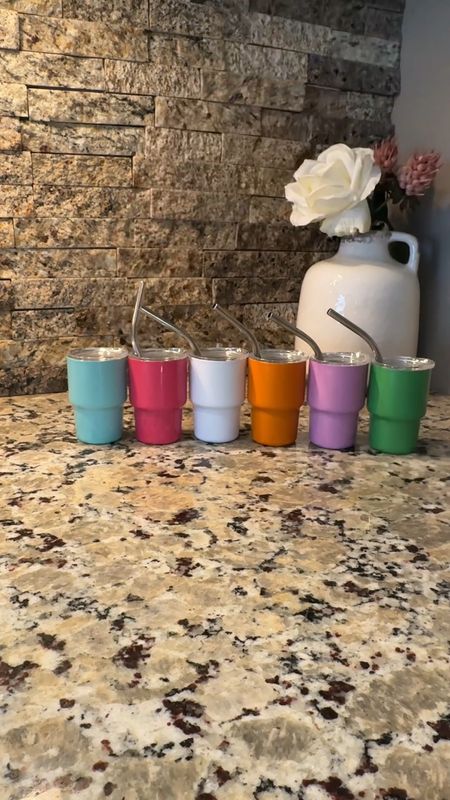 ✨These are the CUTEST mini tumblers/shot glasses I have ever seen! And you can get the entire 6 set for about $20!!!

#LTKkids #LTKfindsunder50 #LTKsalealert