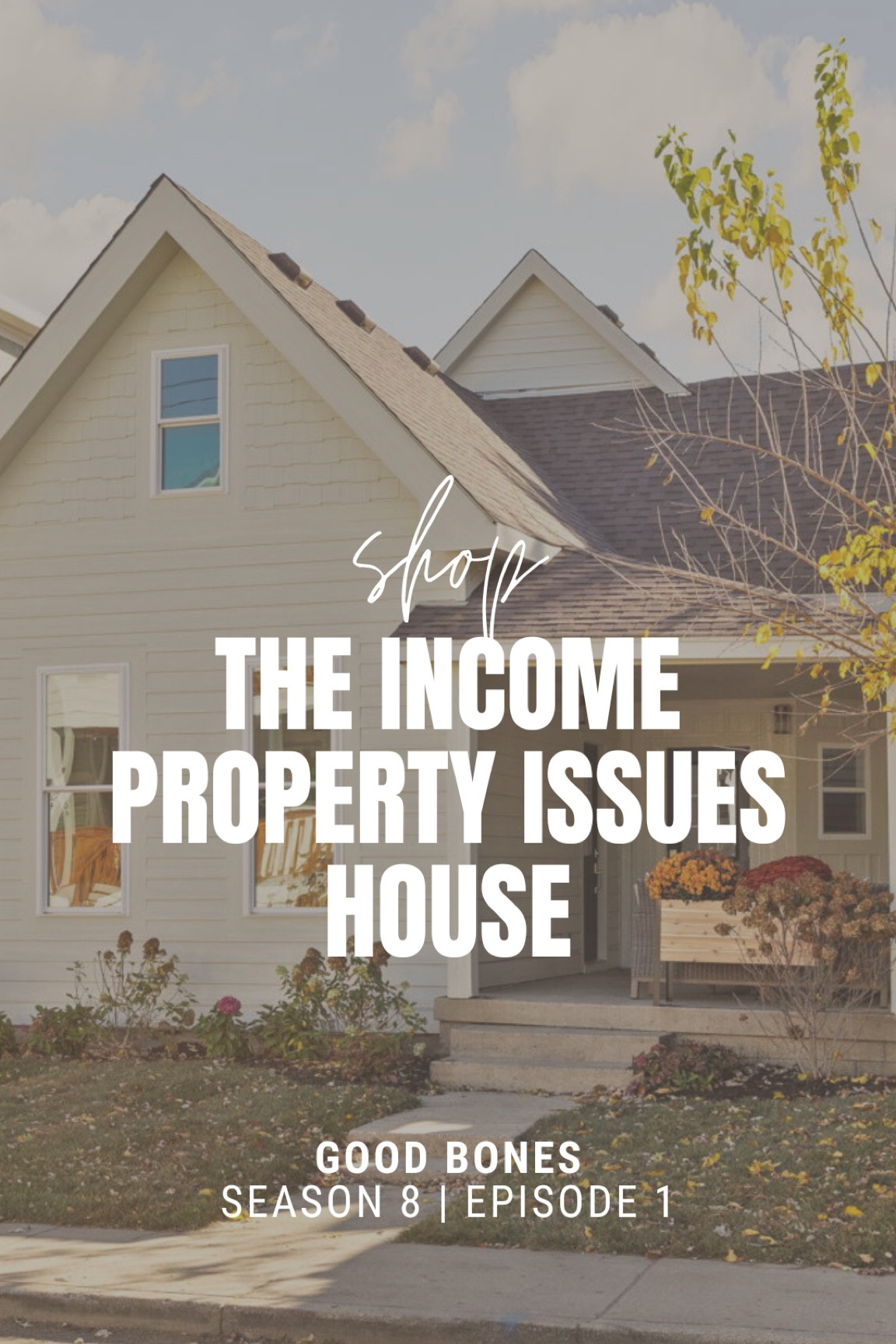 This income property had issues but turned into a stunning home with plenty of wow factor! Shop some of our favorite products from the house below.