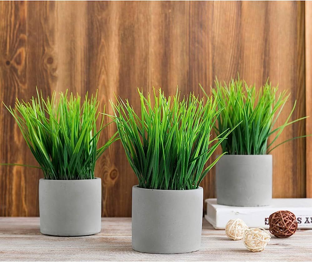 MyGift Tabletop Artificial Faux Grass Plants in Modern Cylindrical Gray Cement Planter Pots, Set ... | Amazon (US)