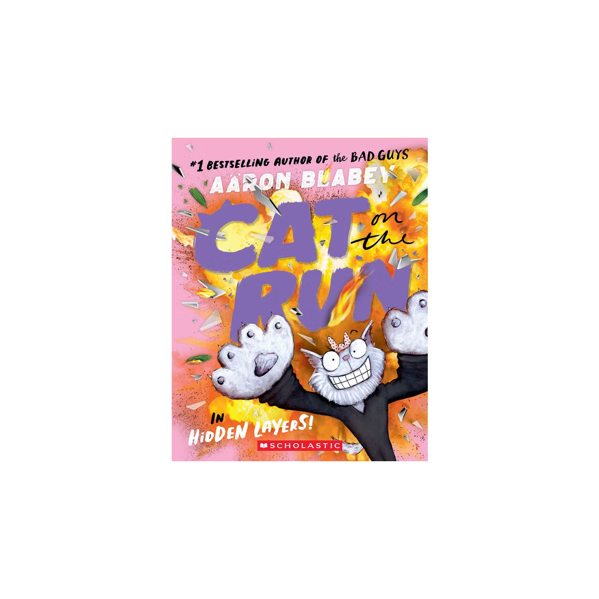 Cat on the Run in Hidden Layers! (Cat on the Run #3) - by Aaron Blabey (Paperback) | Target