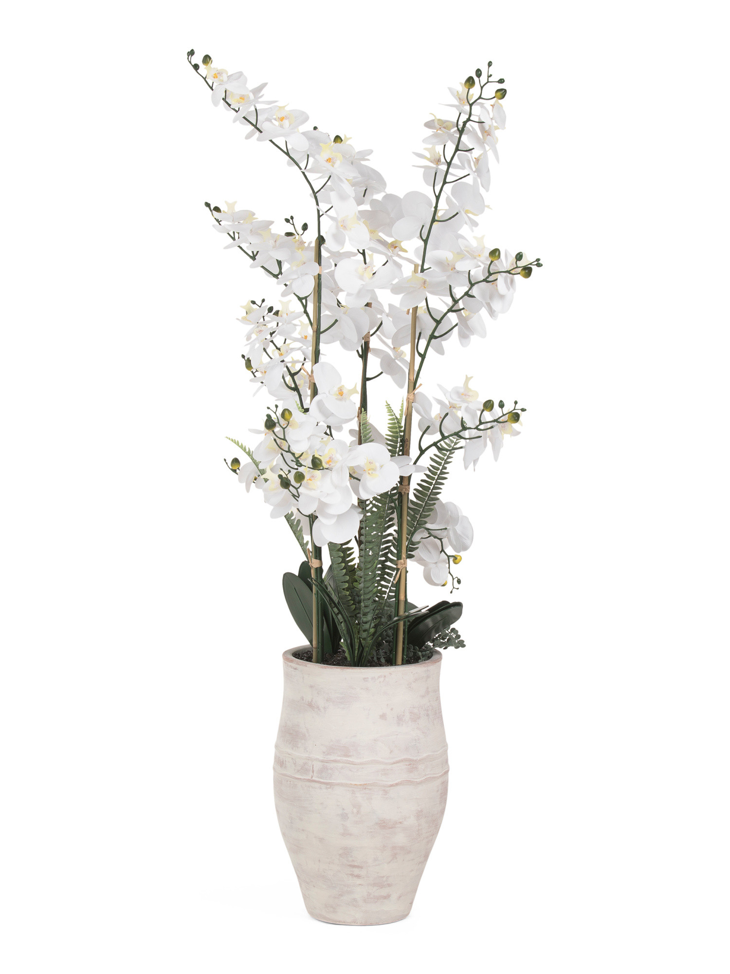 60in Droopy Orchid In Antique Magnesium Oxide Pot | TJ Maxx