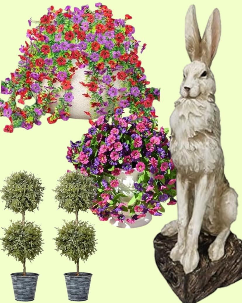 Amazon Home | Amazon (US)