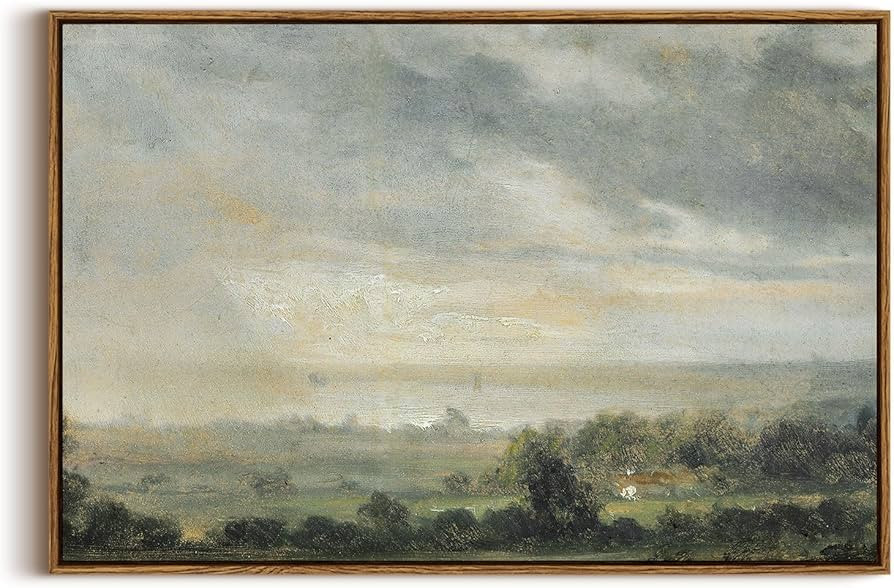 InSimSea | Amazon (US)