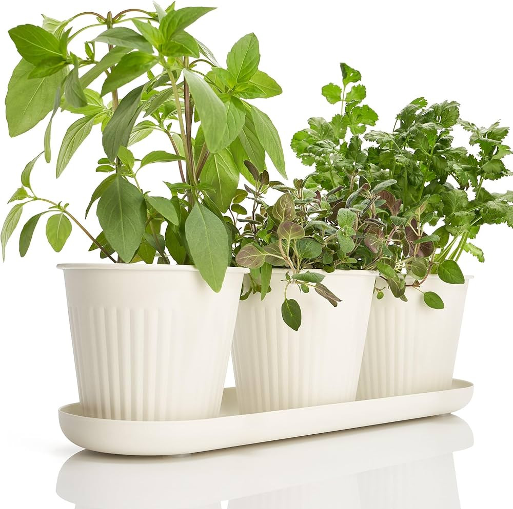 KIBAGA Beautiful Herb Garden Planter Indoor Set of 3 - Perfect for Any Kitchen Window Sill or Cou... | Amazon (US)